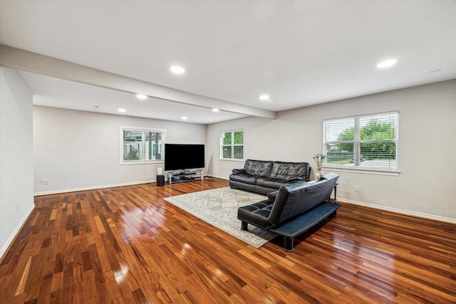 living room featuring wood-type flooring