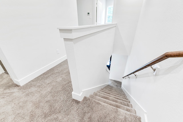 stairs featuring carpet floors