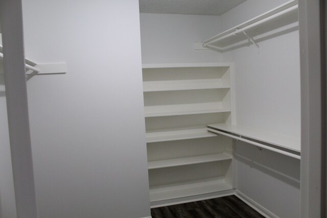 walk in closet with dark hardwood / wood-style flooring