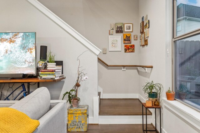 stairs with wood-type flooring