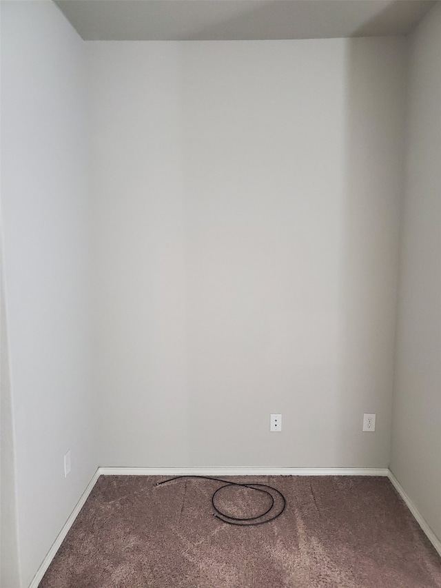 spare room with carpet