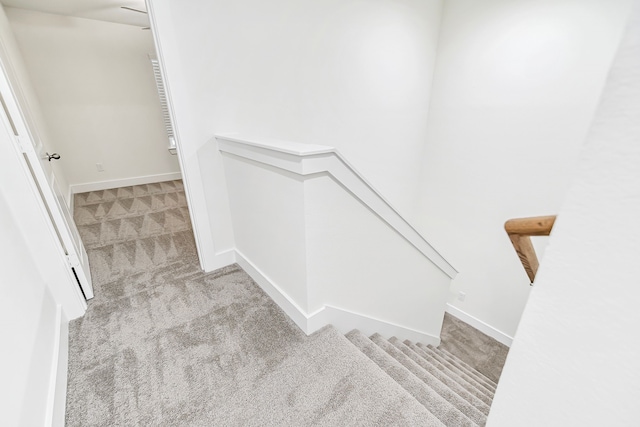 stairway with carpet flooring