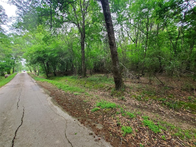 246 County Road 3990, Cleveland TX, 77328 land for sale