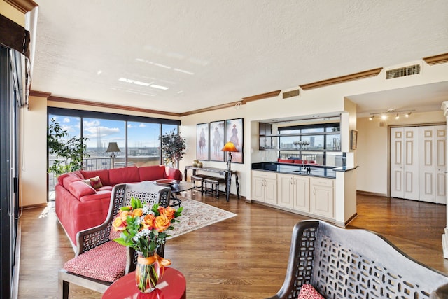 living room with dark hardwood / wood-style flooring, a textured ceiling, and a wealth of natural light