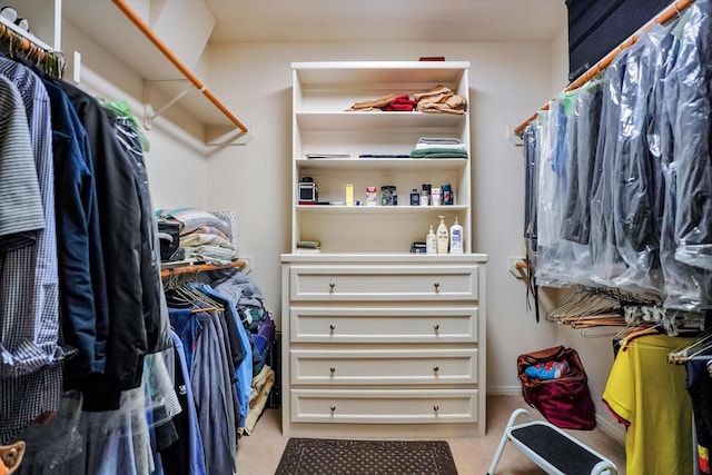 walk in closet with light colored carpet