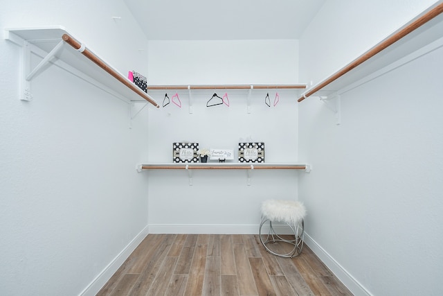 spacious closet featuring wood-type flooring