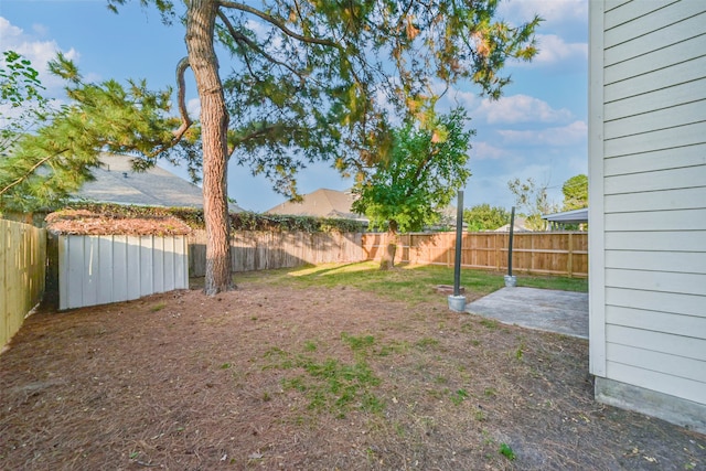 view of yard featuring a patio and a storage unit