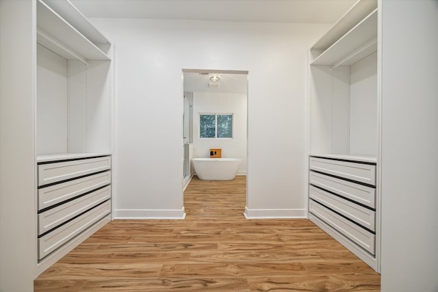 walk in closet featuring light hardwood / wood-style flooring