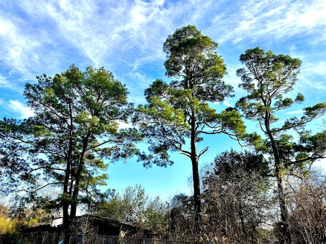 view of nature