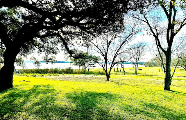 view of yard with a water view