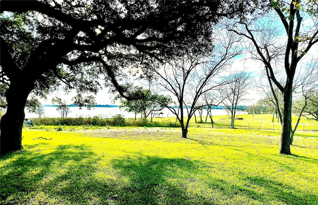 view of yard with a water view