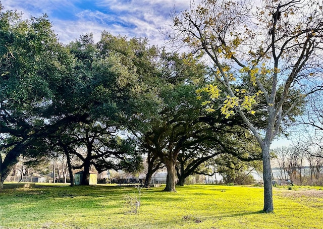view of community with a yard