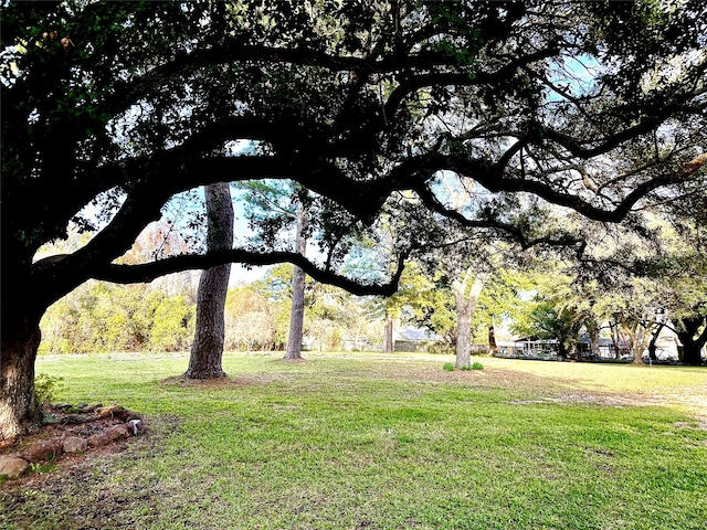 view of community featuring a lawn