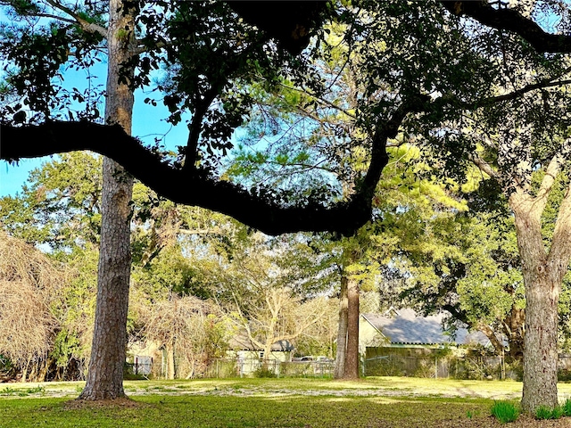 surrounding community featuring a yard