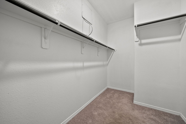 spacious closet with carpet flooring