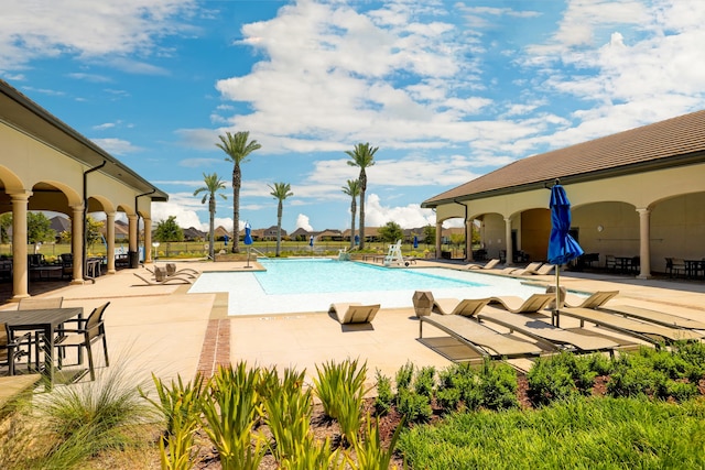 view of pool featuring a patio