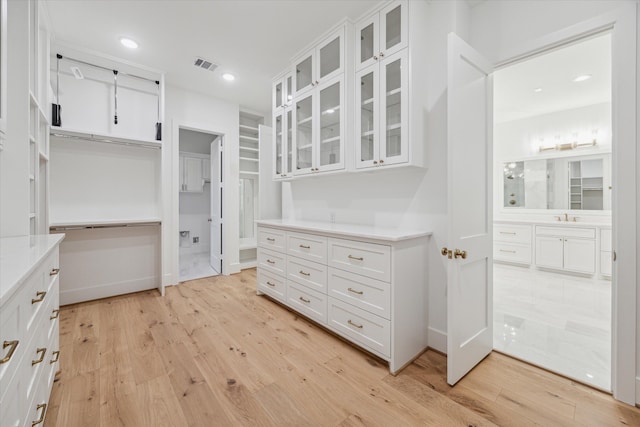 walk in closet featuring light wood-type flooring and sink