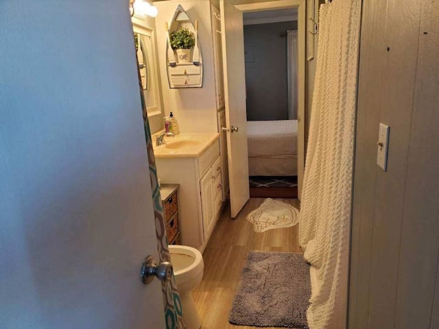 bathroom featuring vanity, wood-type flooring, and toilet