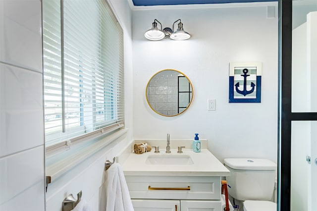 bathroom with toilet and vanity