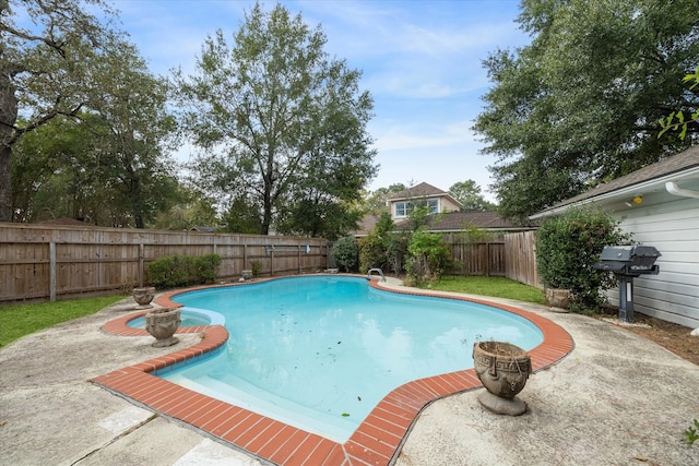 view of swimming pool with a patio area