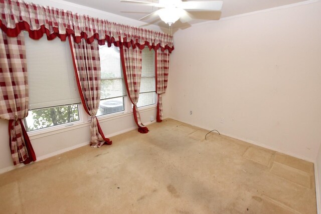 empty room with carpet floors and crown molding