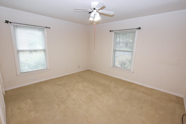 carpeted spare room with ceiling fan and crown molding