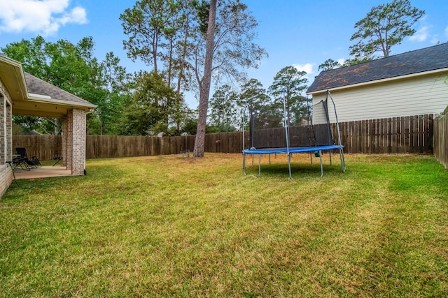 view of yard featuring a patio area and a trampoline