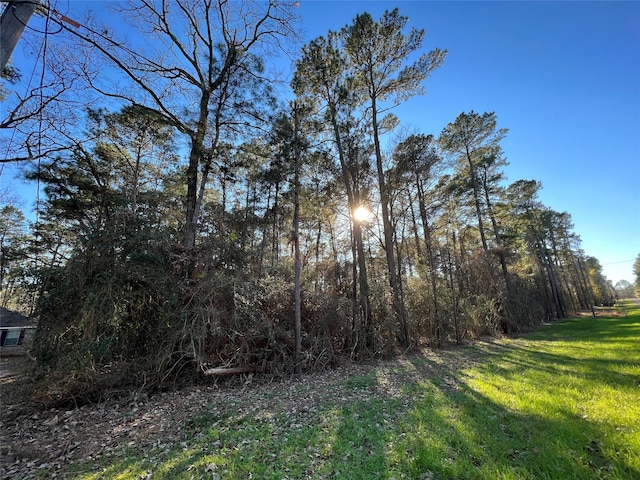 290 Greenbriar Dr, Magnolia TX, 77355 land for sale