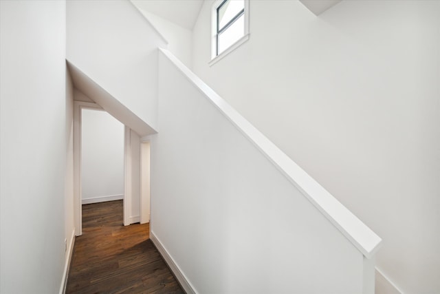 staircase with wood-type flooring