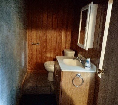 bathroom featuring vanity, toilet, and wood walls