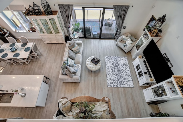 living room with wood-type flooring