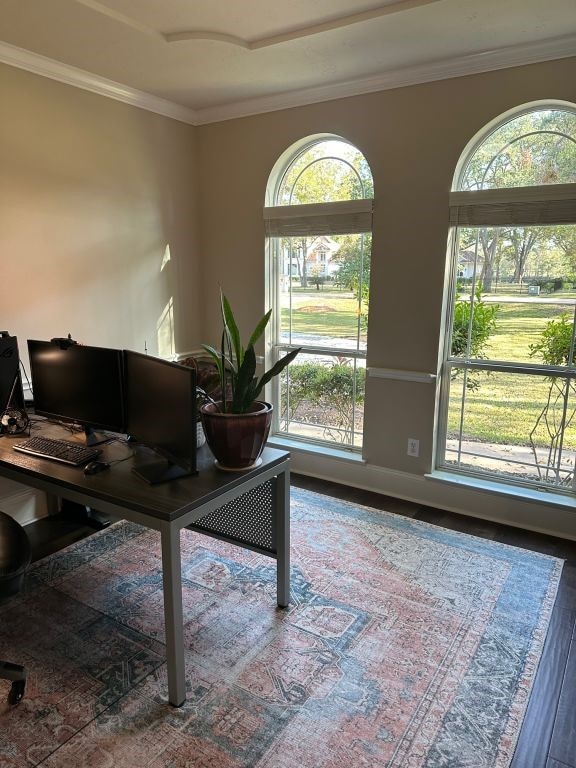 office featuring hardwood / wood-style floors, crown molding, and plenty of natural light