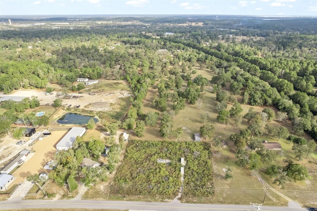 18462 Keenan Cut Off Rd, Montgomery, TX 77316