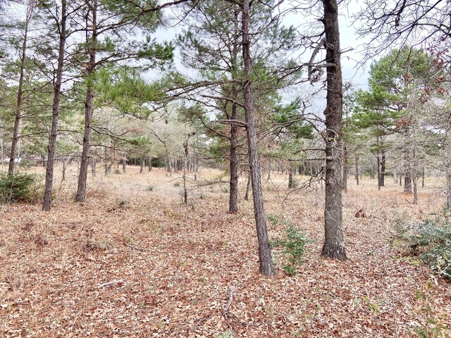 3729 Pine Wood Way, Larue, TX 75770