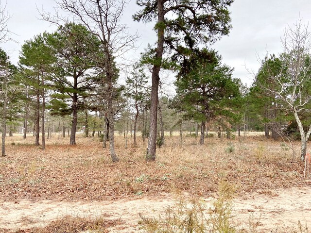 3729 Pine Wood Way, Larue, TX 75770