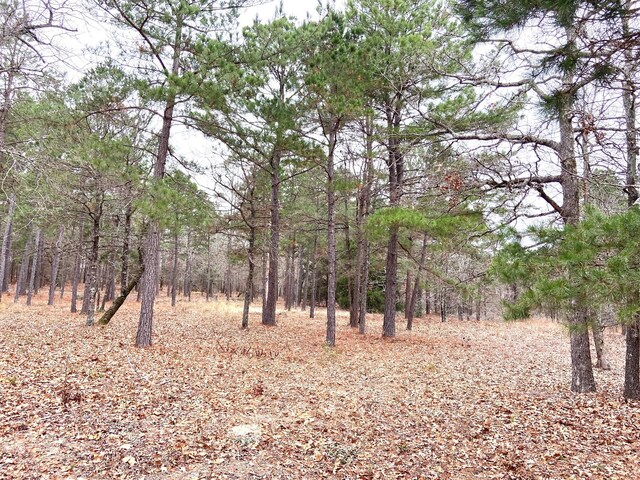 3729 Pine Wood Way, Larue, TX 75770