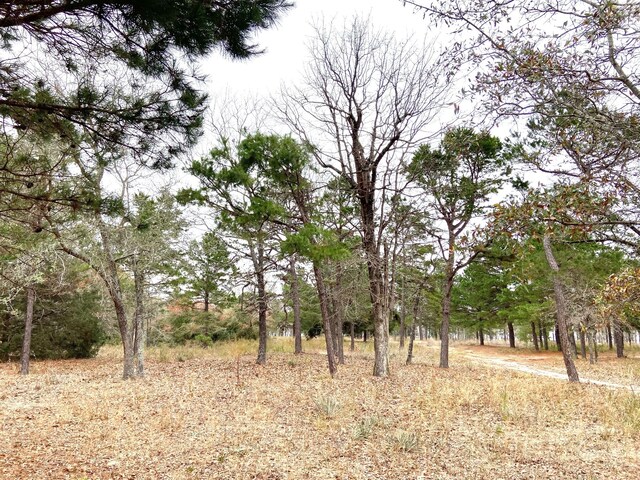 3729 Pine Wood Way, Larue, TX 75770