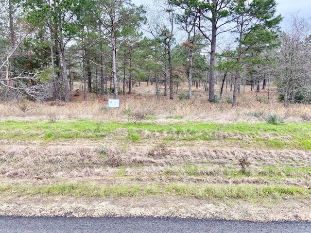 3729 Pine Wood Way, Larue, TX 75770