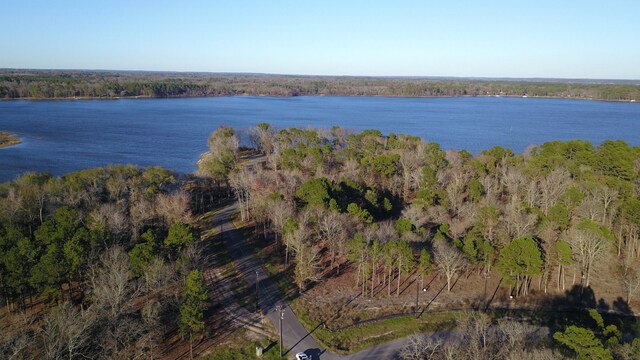 3729 Pine Wood Way, Larue, TX 75770