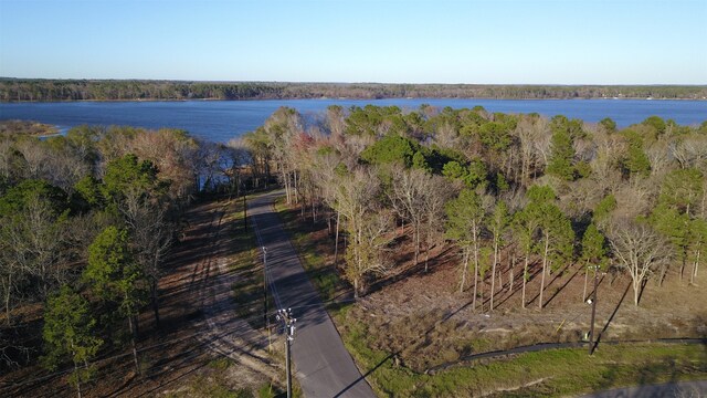 3729 Pine Wood Way, Larue, TX 75770