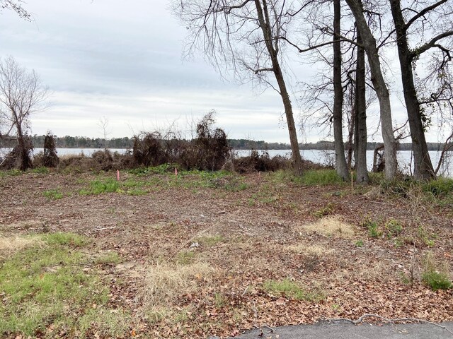 3729 Pine Wood Way, Larue, TX 75770