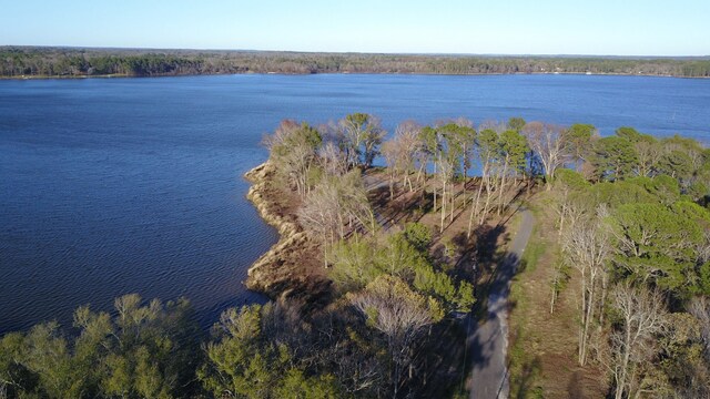 3729 Pine Wood Way, Larue, TX 75770