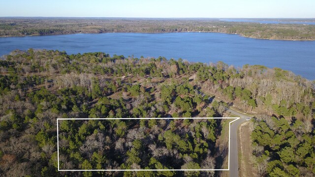 3729 Pine Wood Way, Larue, TX 75770