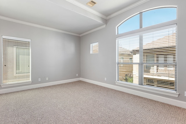 unfurnished room with plenty of natural light and carpet floors