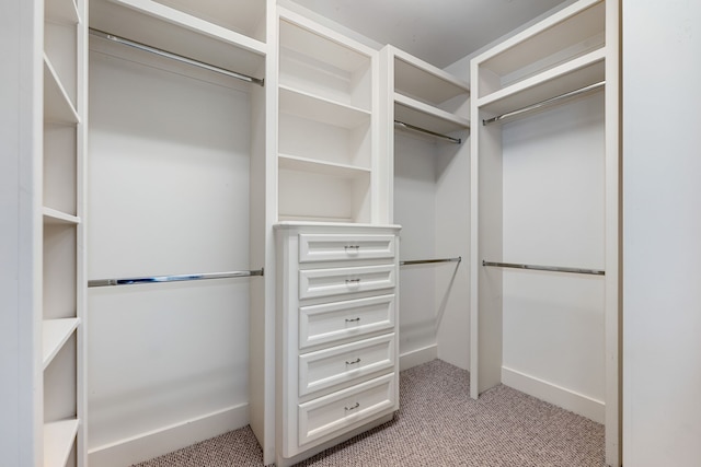 walk in closet with light carpet