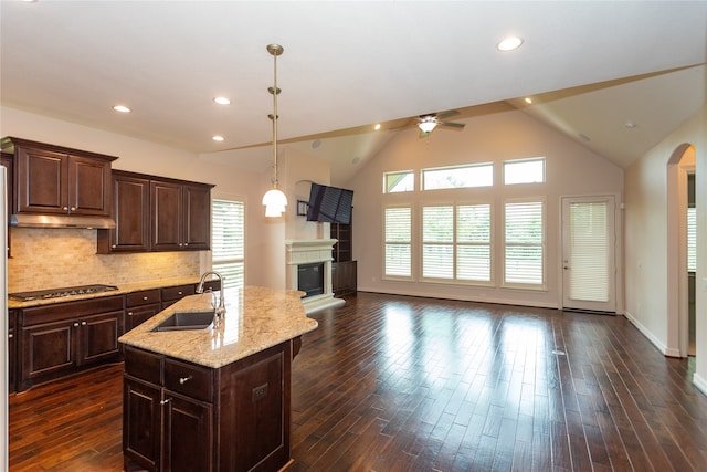 kitchen with an island with sink, sink, dark wood-type flooring, and a wealth of natural light