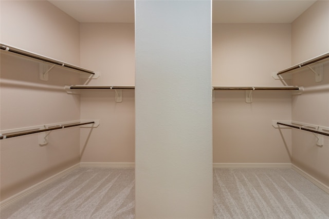 spacious closet with light colored carpet