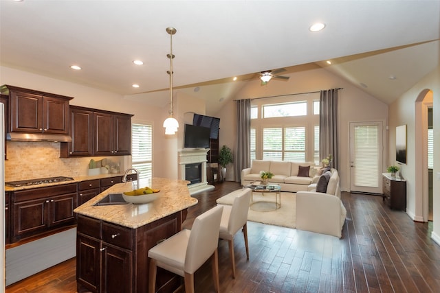 kitchen featuring a healthy amount of sunlight, vaulted ceiling, dark hardwood / wood-style flooring, and a kitchen island with sink