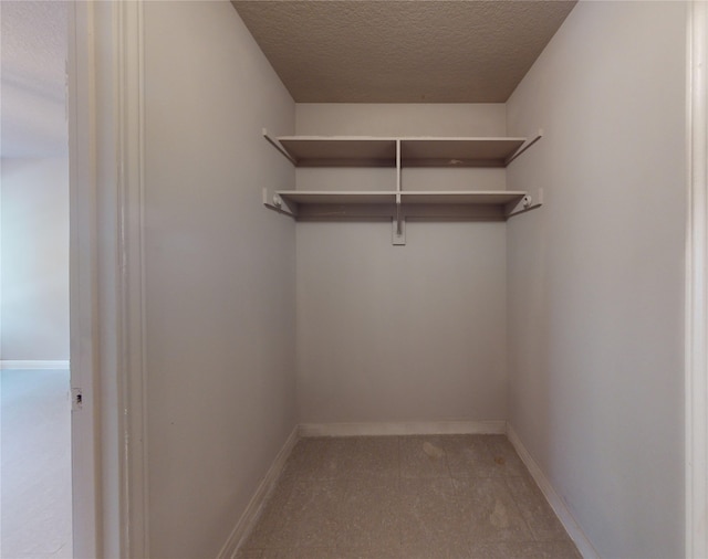 spacious closet with light carpet