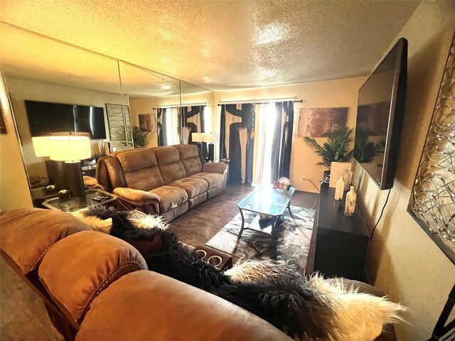 2830 S Bartell Dr Unit 39, Houston, TX 77054 - living room with a textured ceiling